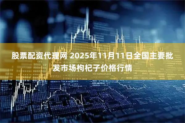 股票配资代理网 2025年11月11日全国主要批发市场枸杞子价格行情