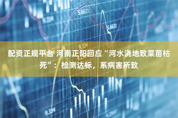 配资正规平台 河南正阳回应“河水浇地致菜苗枯死”：检测达标，系病害所致