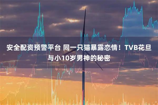 安全配资预警平台 同一只猫暴露恋情！TVB花旦与小10岁男神的秘密